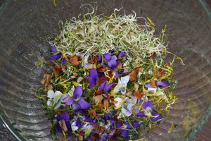 spring salad2_9777